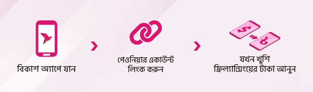 পেওনিয়ার থেকে বিকাশ